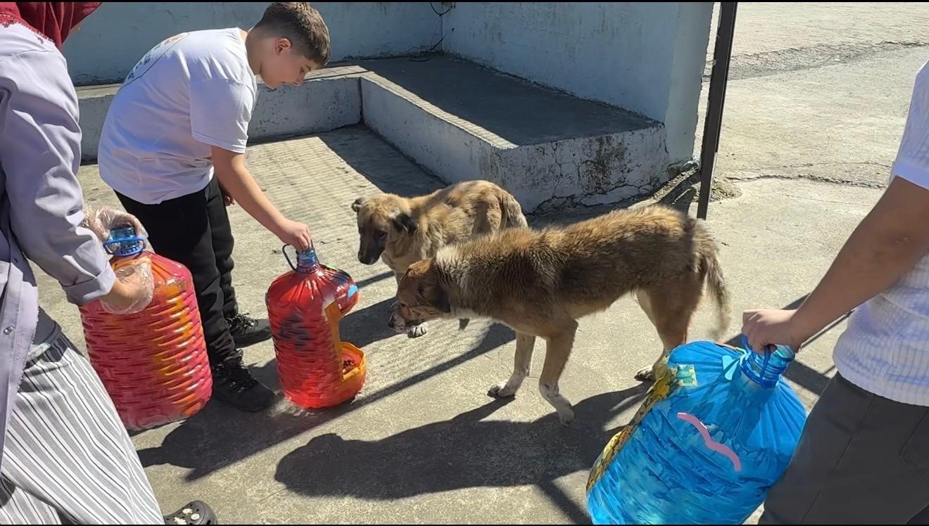 Yemek artıkları sokak hayvanları için mamaya dönüşüyor
