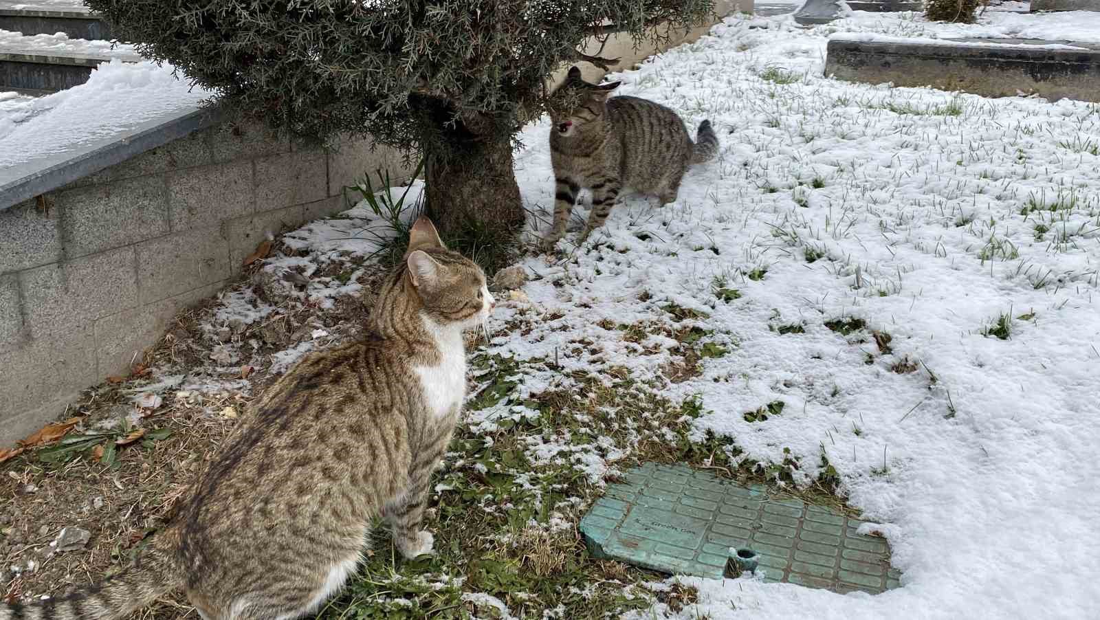 Yeni yılın ilk gününde kar neşesi: Çocuklar sokaklara döküldü
