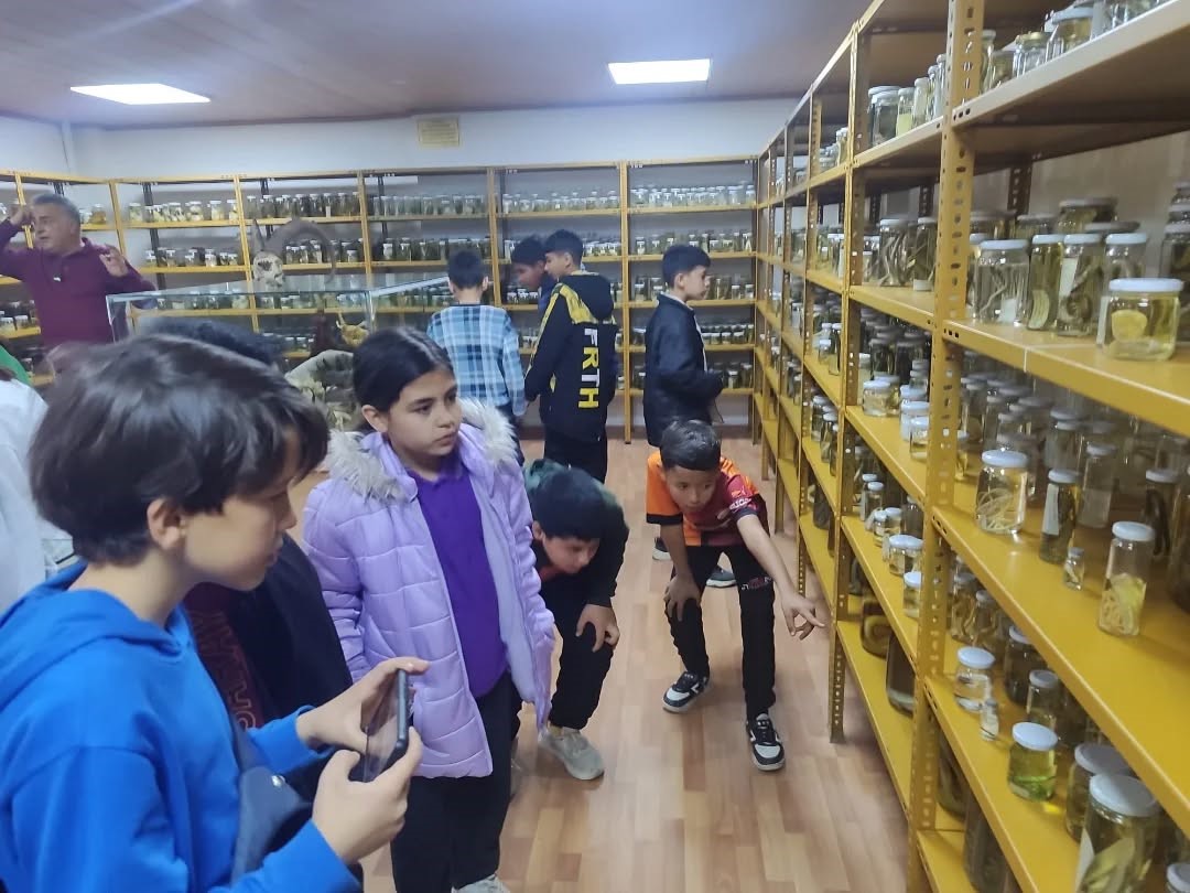 Yenipazarlı öğrenciler doğayı bilimle keşfetti
