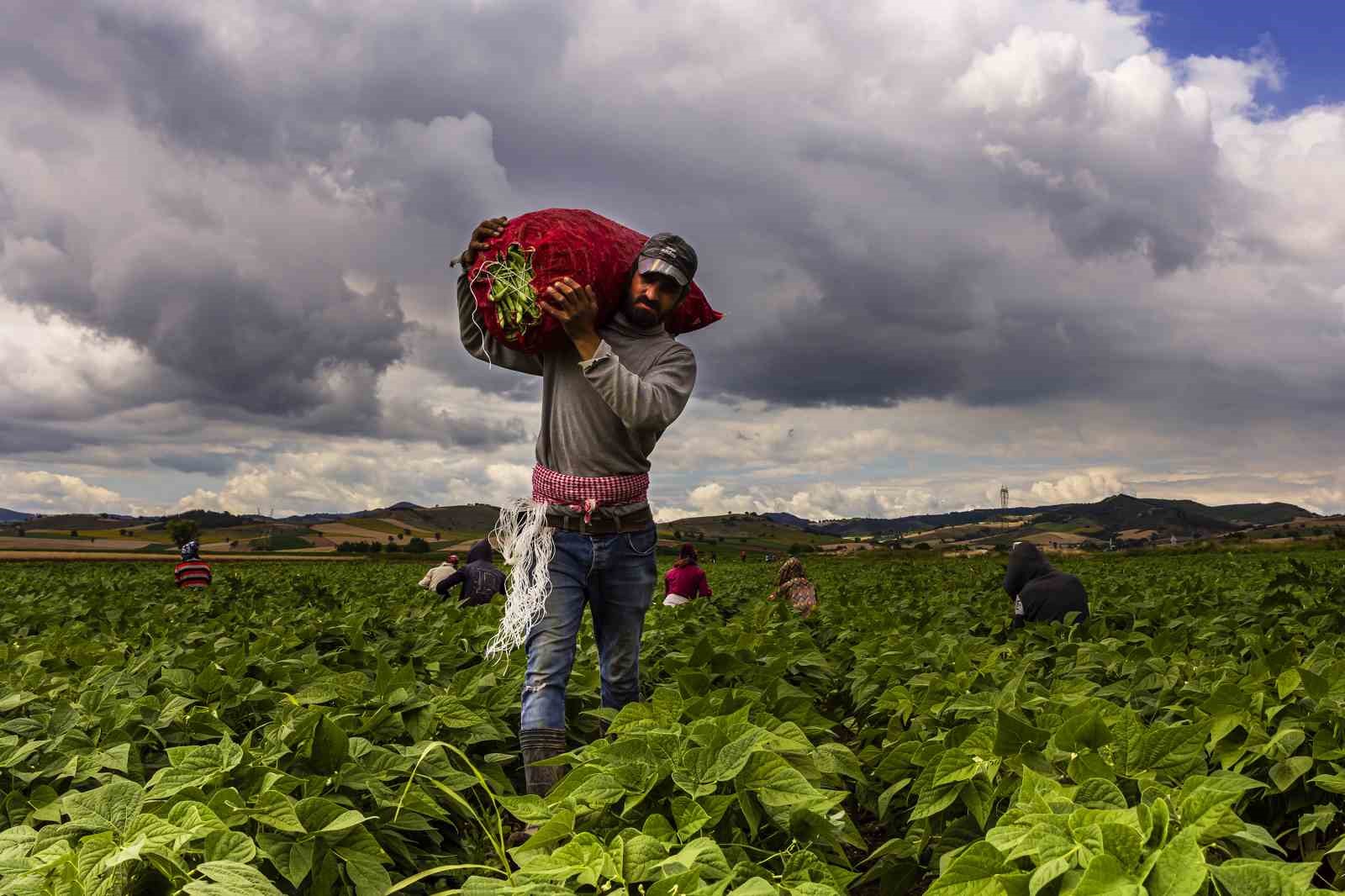 Yenişehir Belediyesi, dev bütçeli iklim projesini hayata geçiriyor
