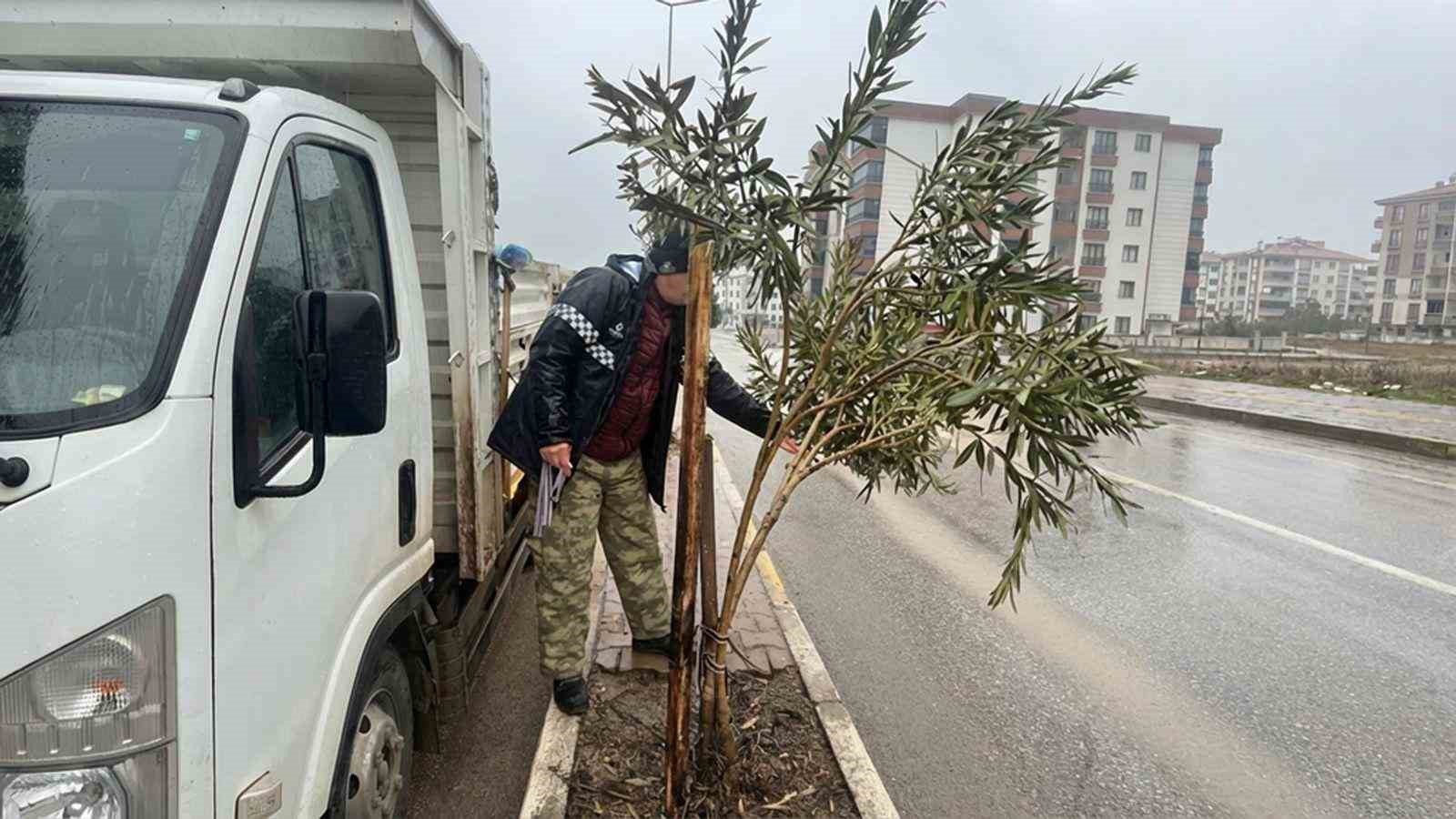 Yeşil alanlarda mevsimlik bakım ve güçlendirme seferberliği
