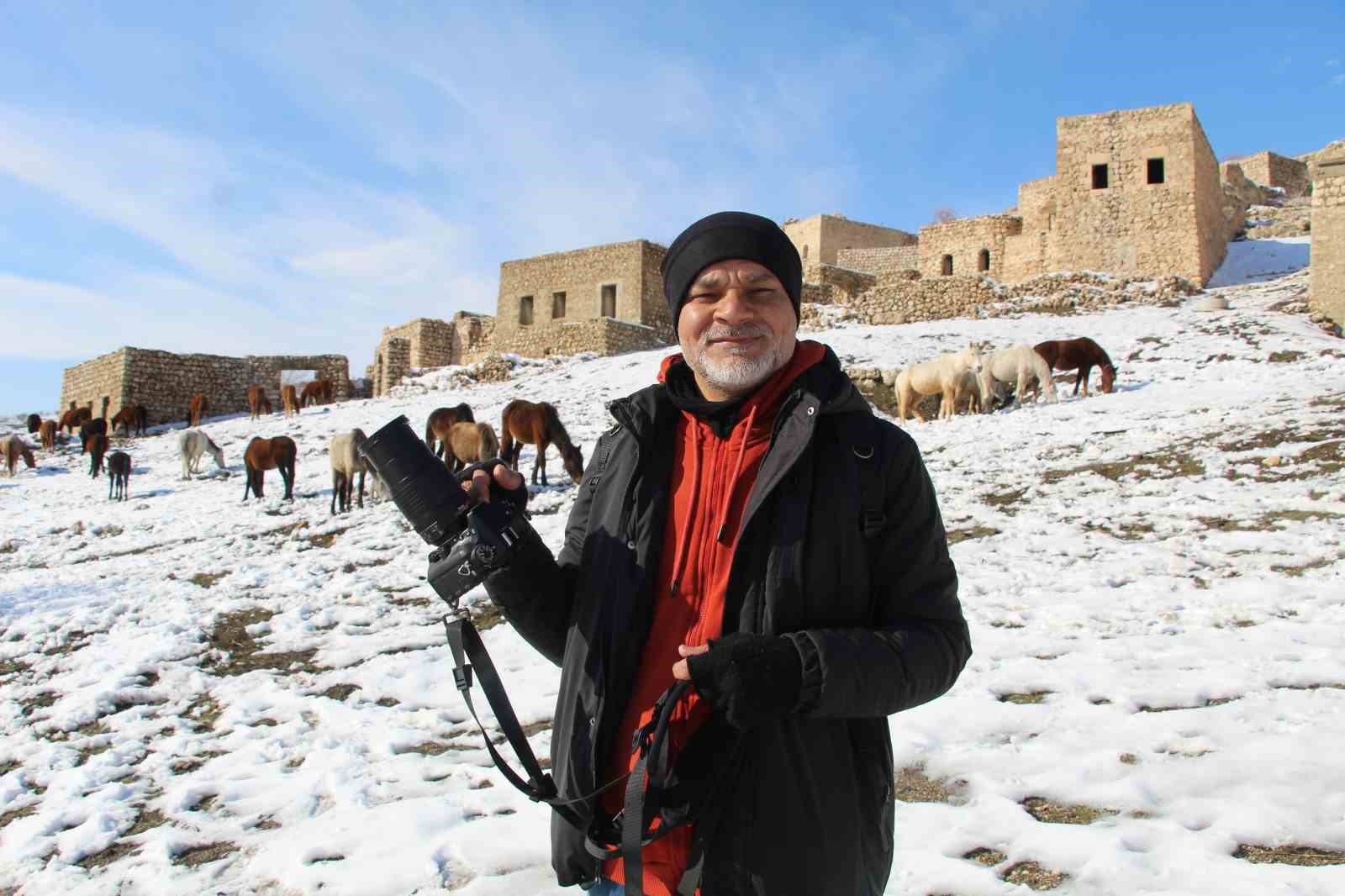 Yılkı atları fotoğrafçıların gözdesi oldu
