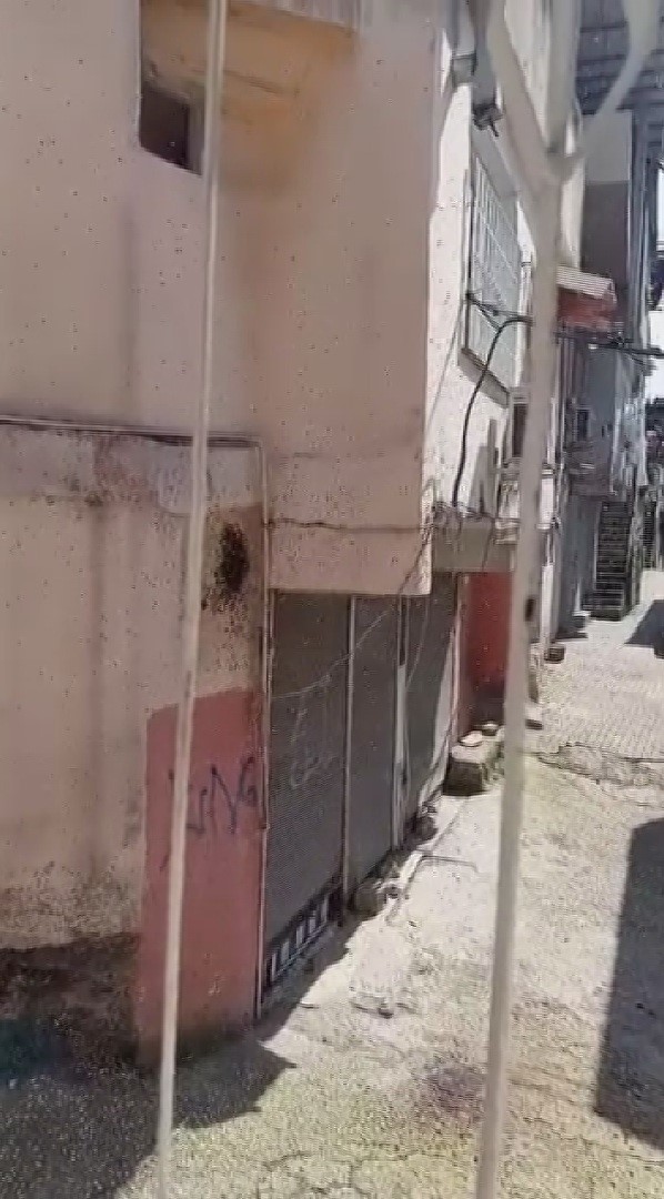 Yıllardır mahalleyi mesken tutan arıları çocukların attığı taş kızdırdı
