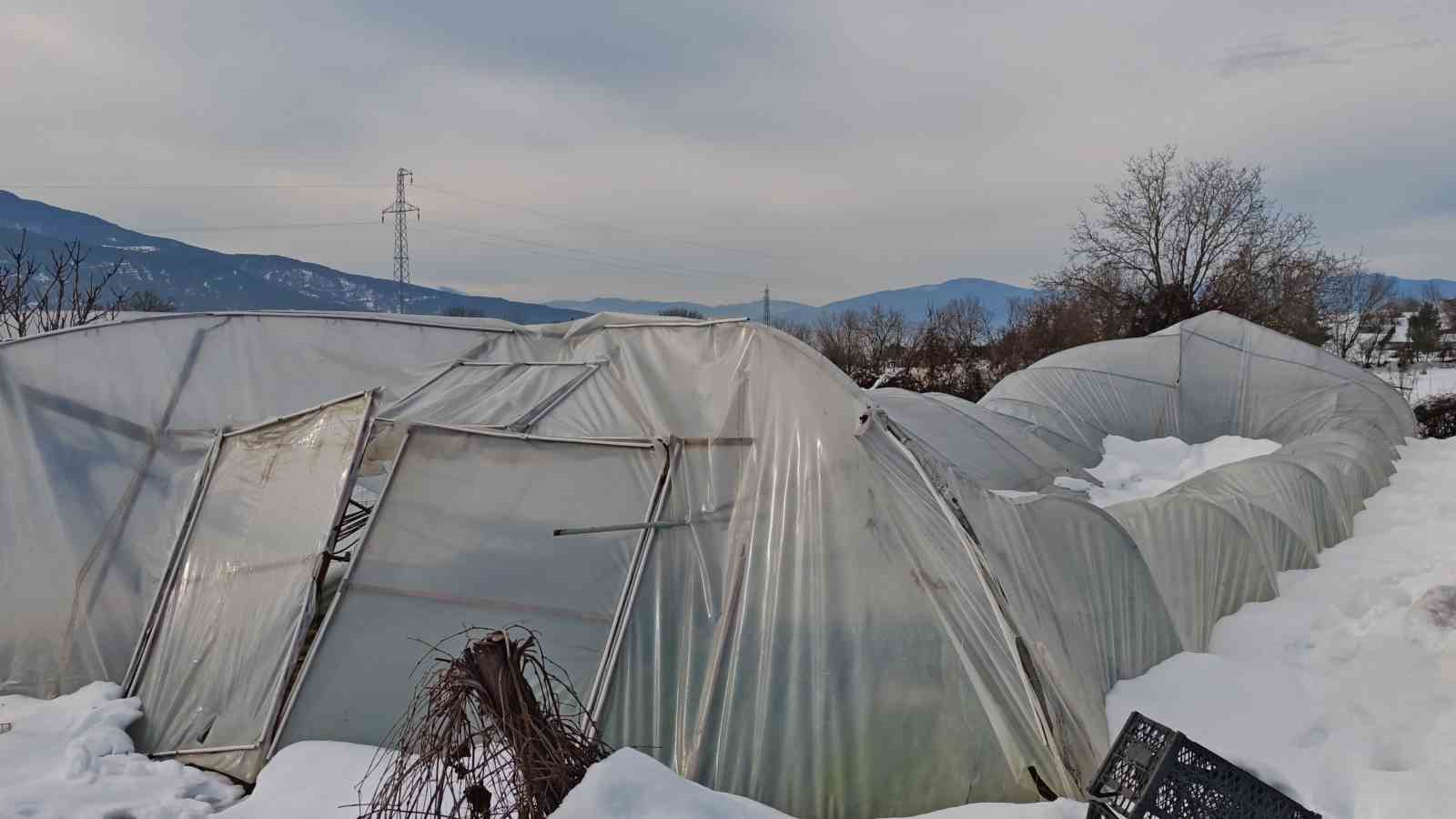Yoğun kar çok sayıda serayı yıktı
