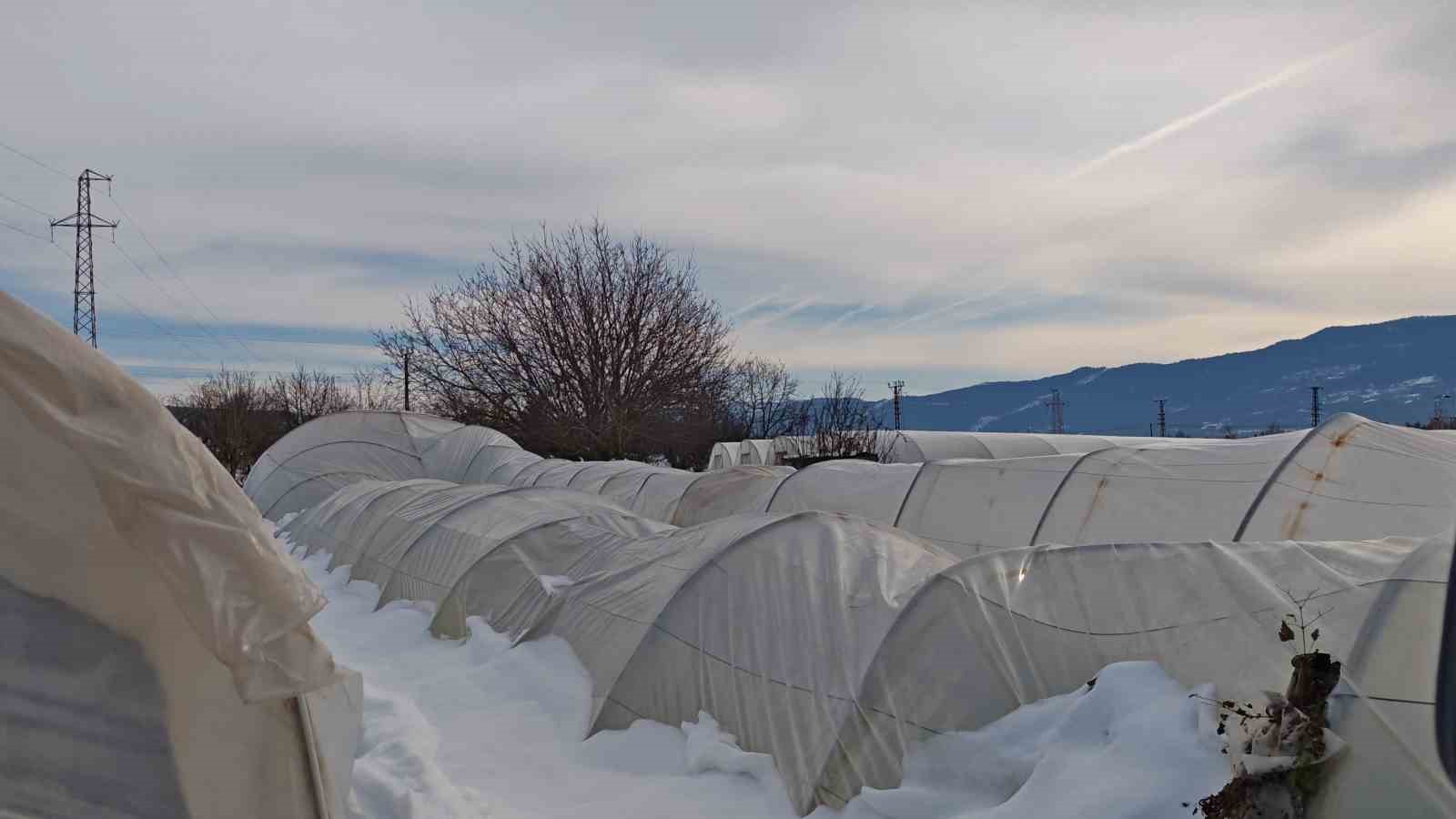 Yoğun kar çok sayıda serayı yıktı

