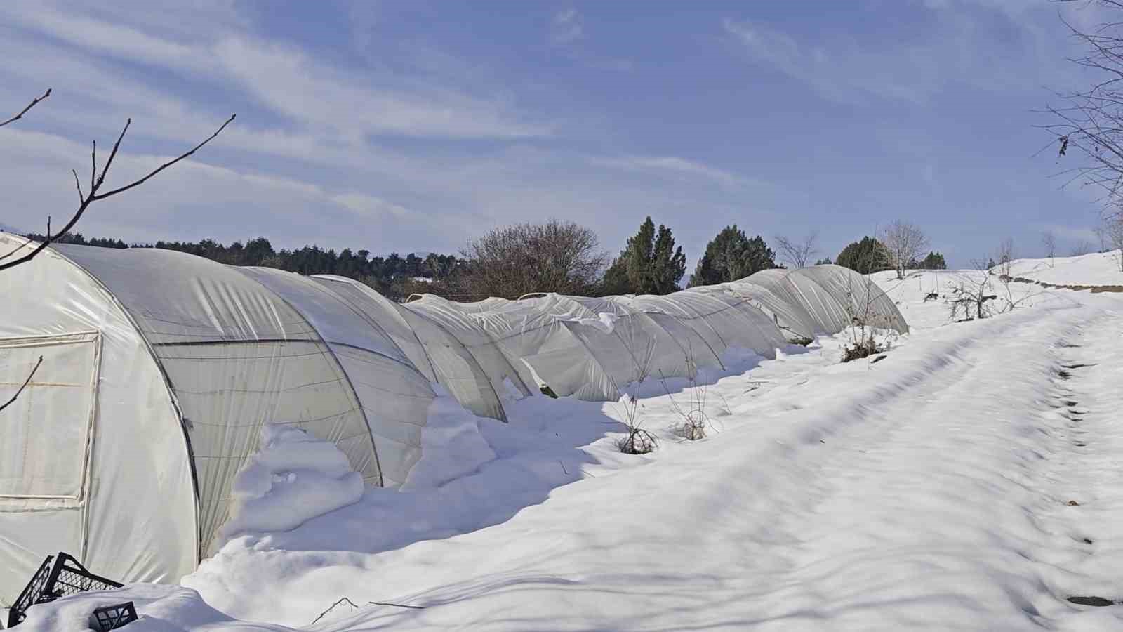 Yoğun kar çok sayıda serayı yıktı
