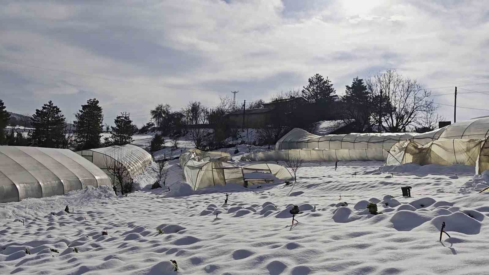 Yoğun kar çok sayıda serayı yıktı
