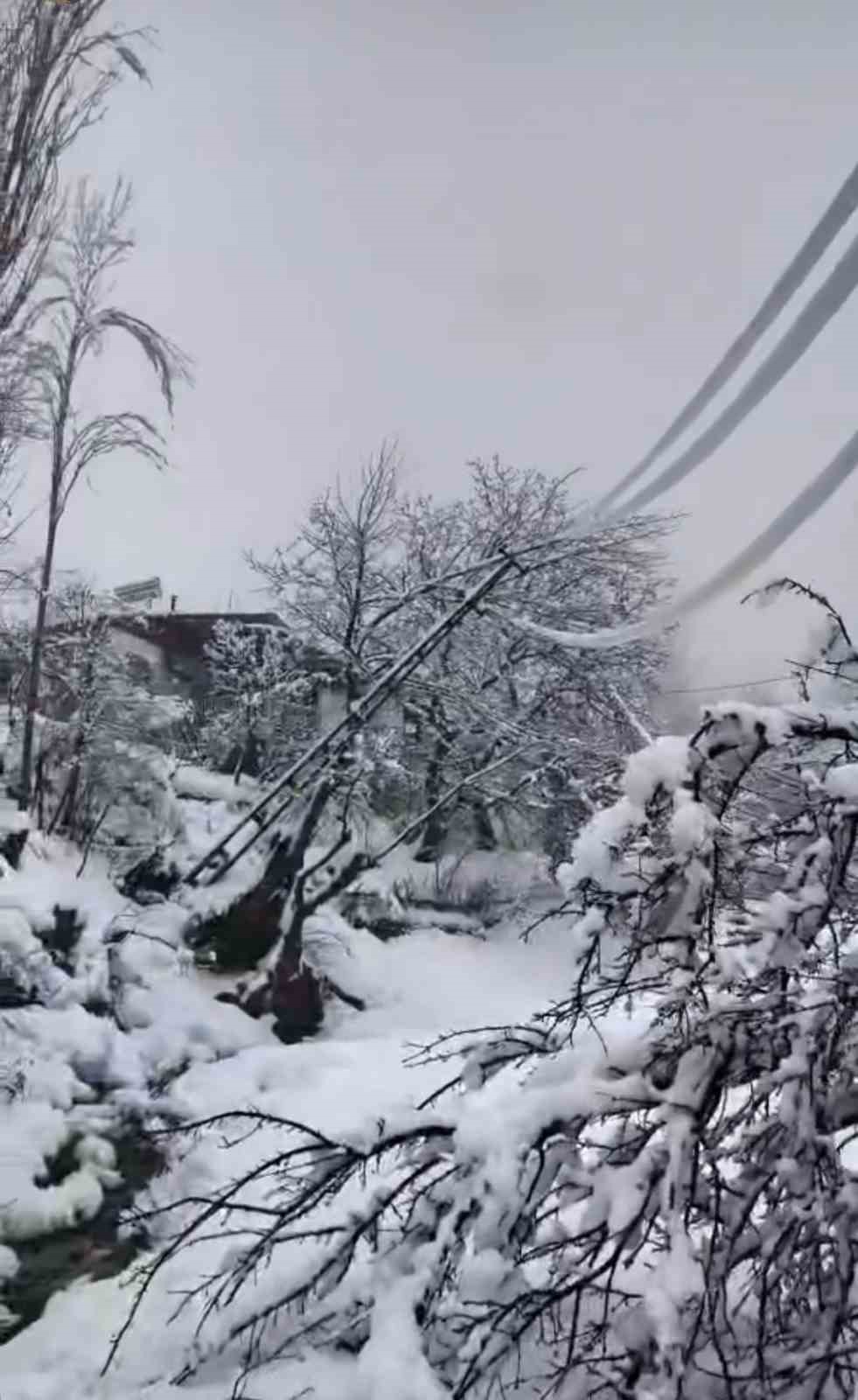 Yoğun kar elektrik direklerini devirdi
