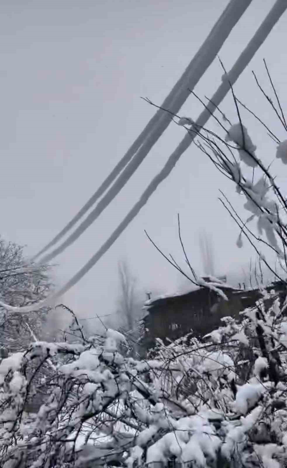 Yoğun kar elektrik direklerini devirdi

