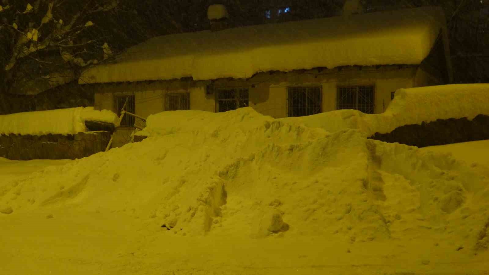 Yoğun kar ve tipi Bitlis’te hayatı olumsuz etkiledi

