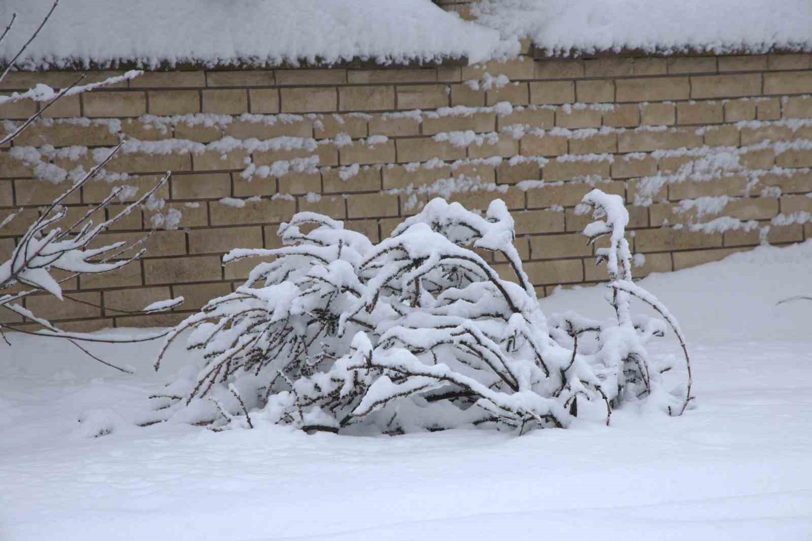 Yoğun kar yağışı Harput’ta çok sayıda ağacın dallarını kırdı
