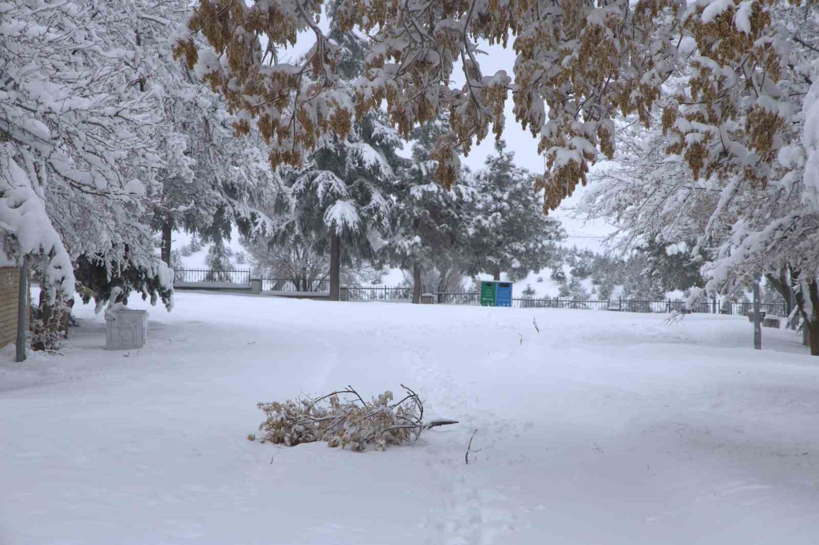 Yoğun kar yağışı Harput’ta çok sayıda ağacın dallarını kırdı
