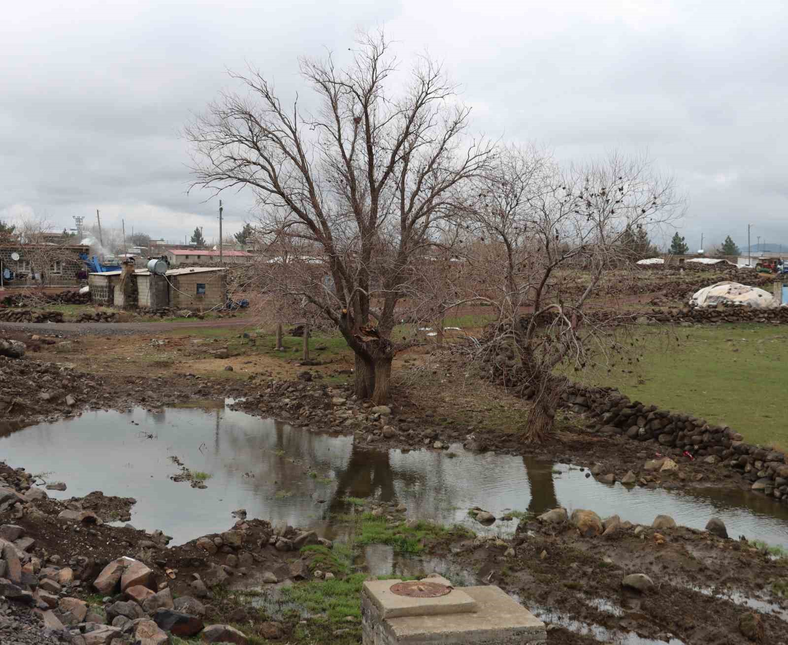 Yoğun yağışlar çiftçinin yüzünü güldürdü
