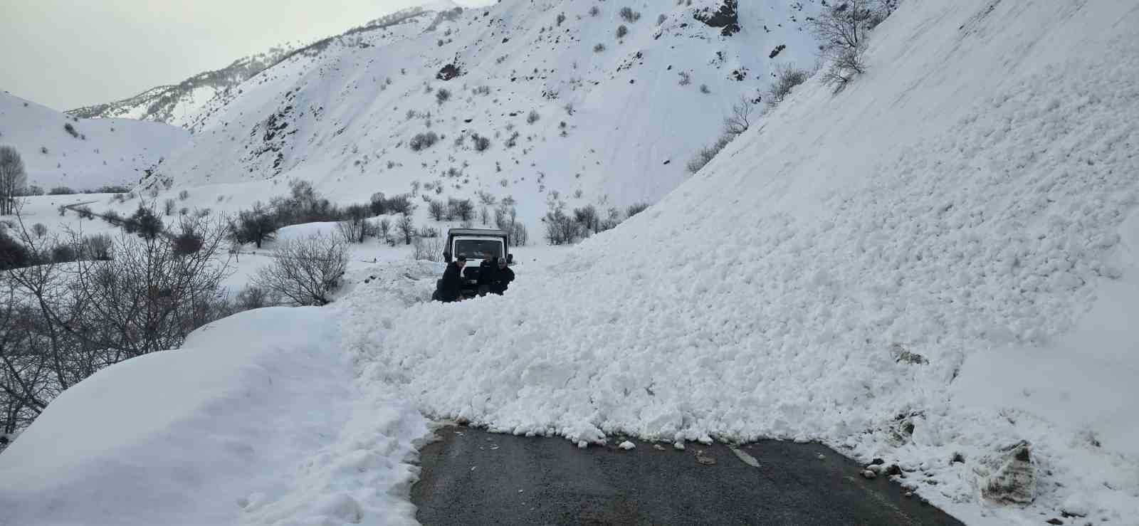 Yola düşen çığı vatandaşlar küreklerle kaldırdı
