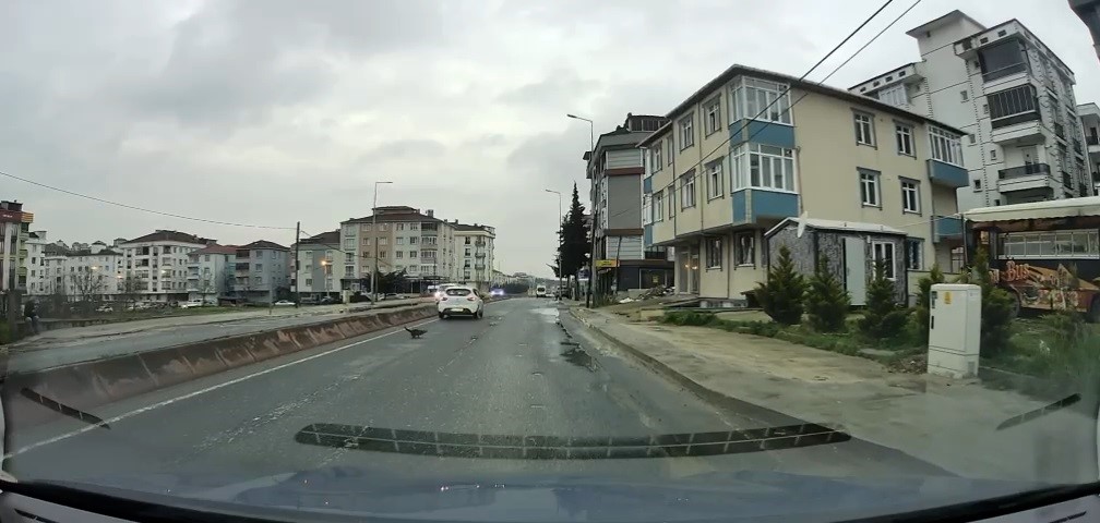 Yoldan geçerken arabanın altında kalan kedi koşarak kaçtı: O anlar araç kamerasına saniye saniye yansıdı
