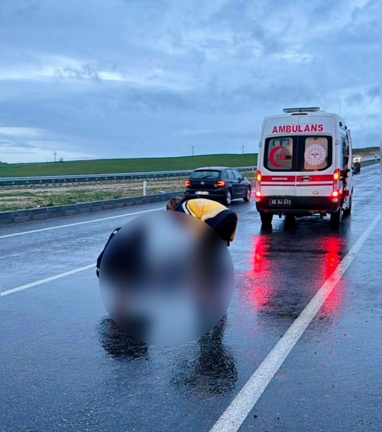 Yolun karşısına geçmek isterken hayatını kaybetti
