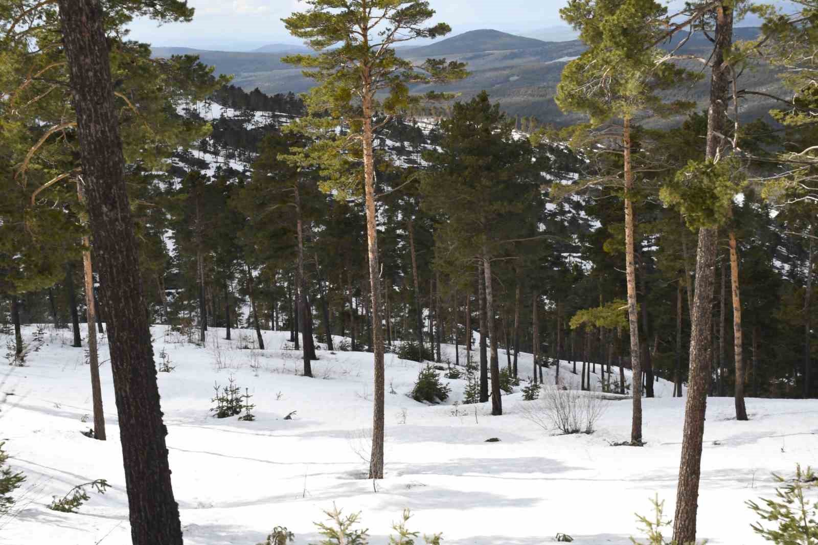 Yozgat’ın yükseklerinde kış ve bahar bir arada yaşanıyor
