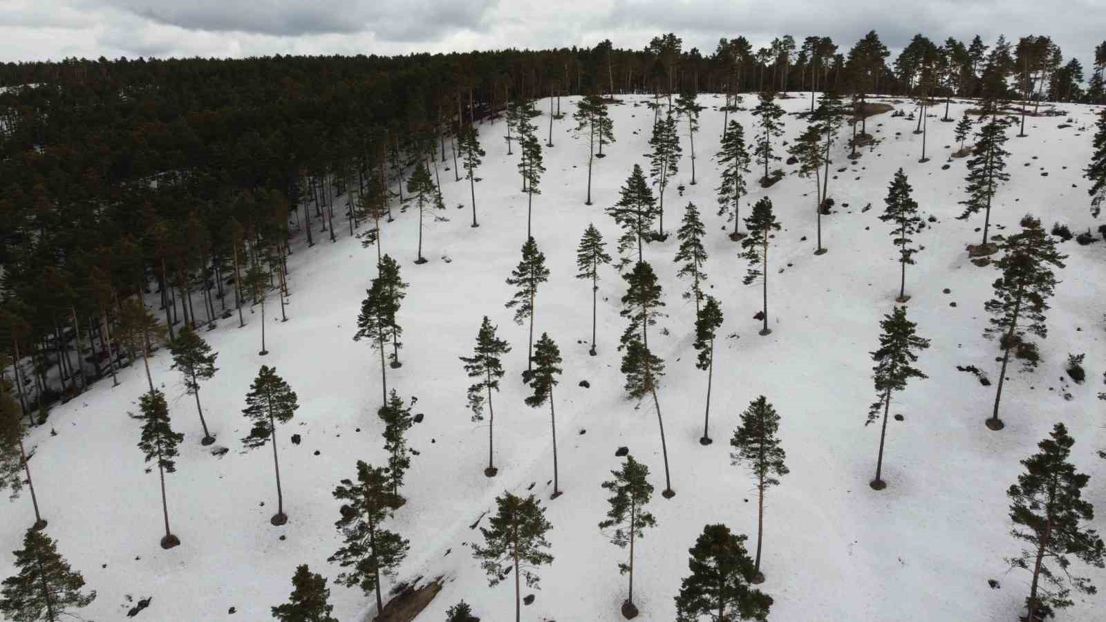 Yozgat’ın yükseklerinde kış ve bahar bir arada yaşanıyor
