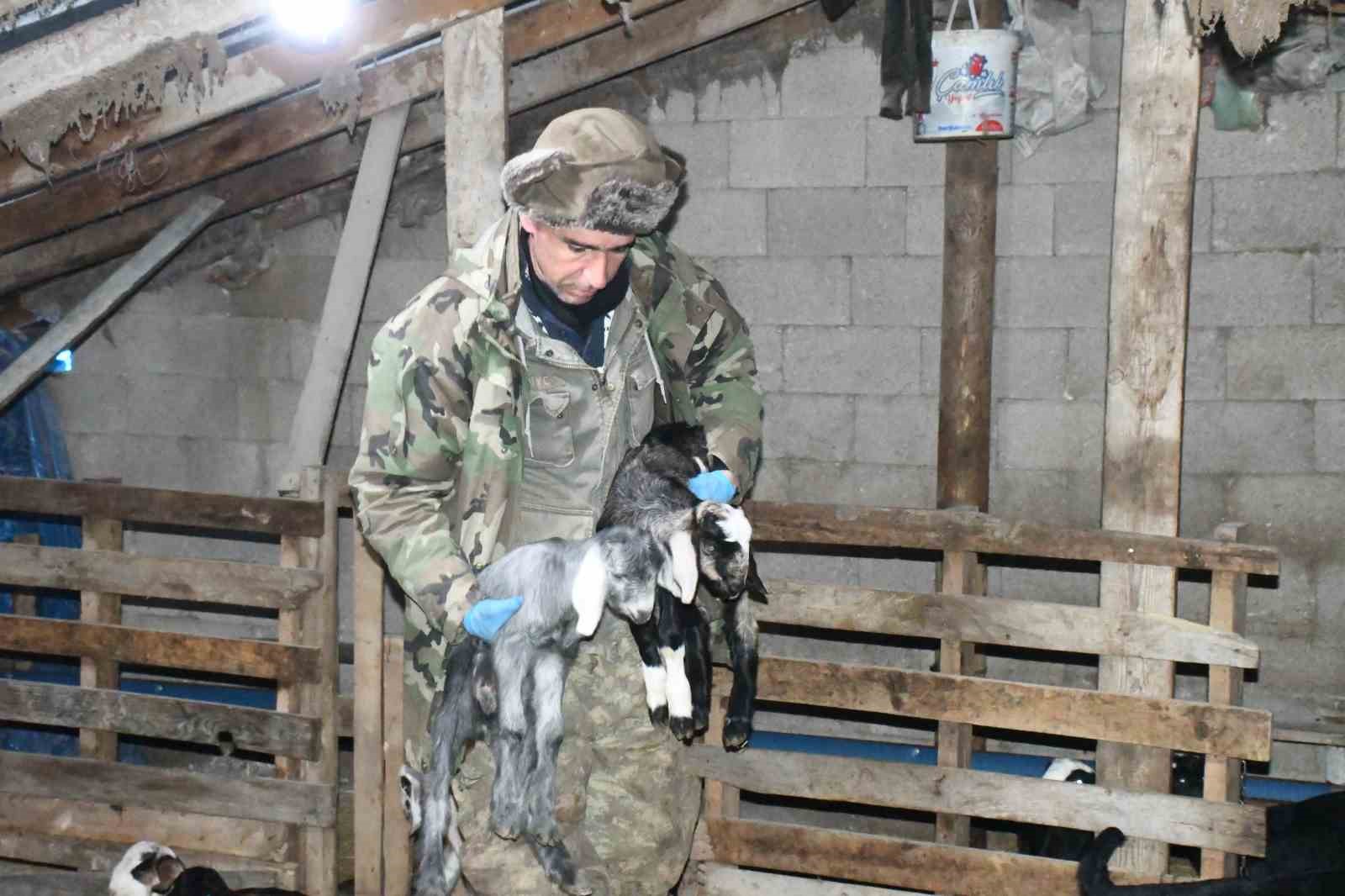 Yozgatlı keçi yetiştiricisi kireçli yöntemle hayvan kayıplarını önledi
Yozgatlı keçi yetiştiricisi kireçli yöntemle hayvan kayıplarını önledi