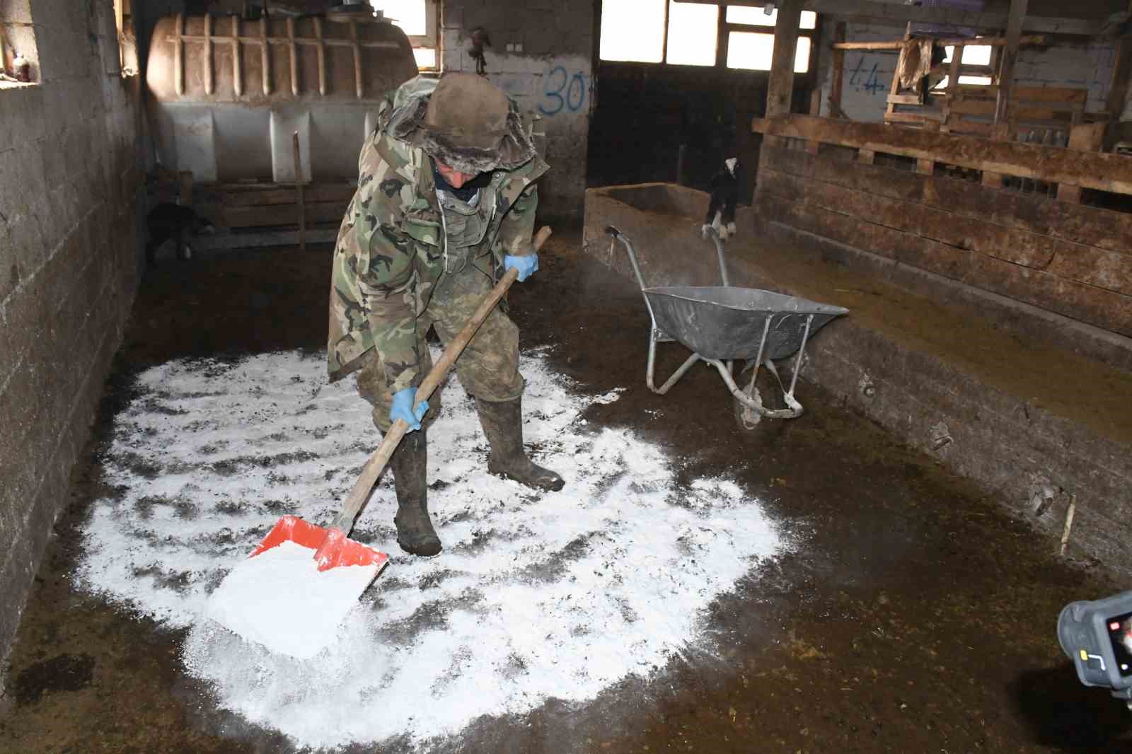 Yozgatlı keçi yetiştiricisi kireçli yöntemle hayvan kayıplarını önledi
Yozgatlı keçi yetiştiricisi kireçli yöntemle hayvan kayıplarını önledi