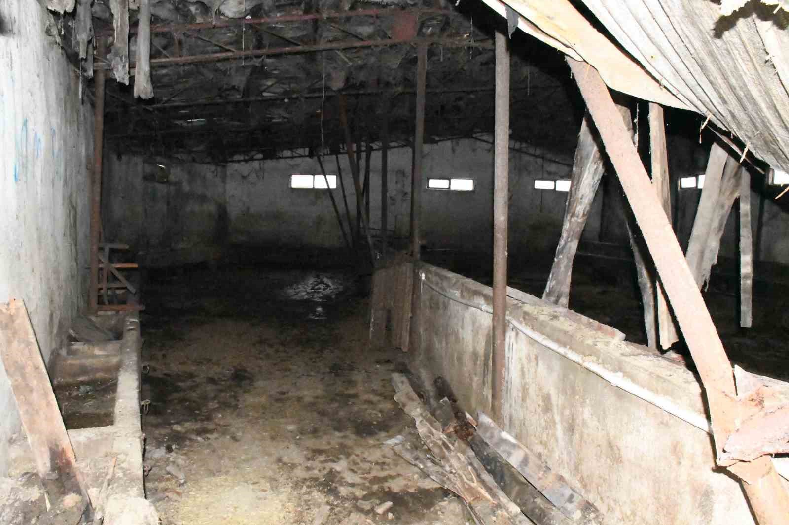 Yozgat’ta ahır çöktü, hayvanlar AFAD’ın yardımıyla kurtarıldı
