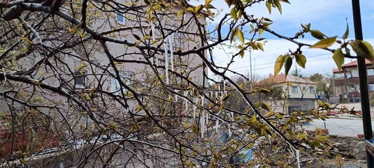 Yozgat’ta çiftçiler zirai don tehlikesine karşı uyarıldı
