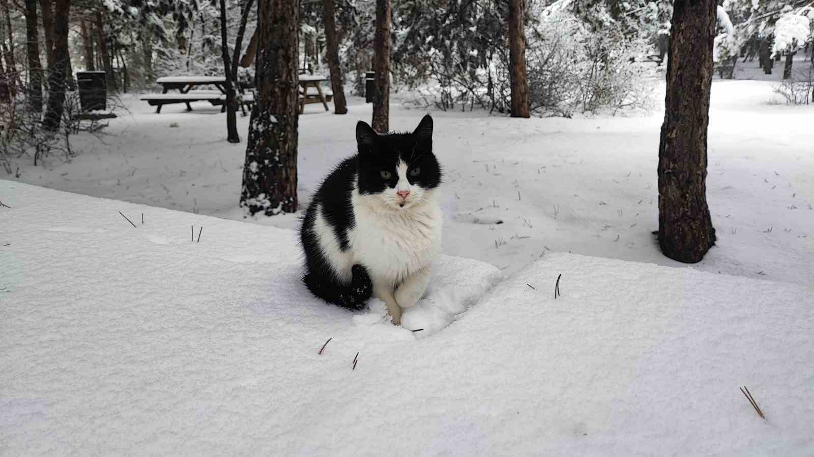 Yozgat’ta kar bereketi: Hem doğa sevindi hem çocuklar
