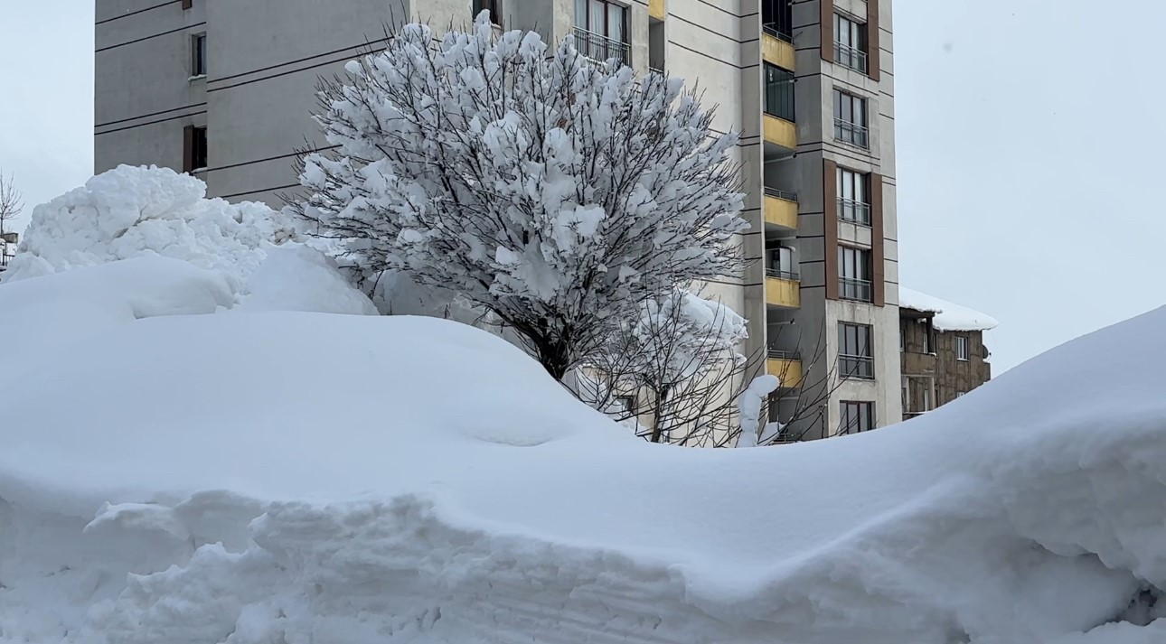 Yüksekova kara gömüldü
