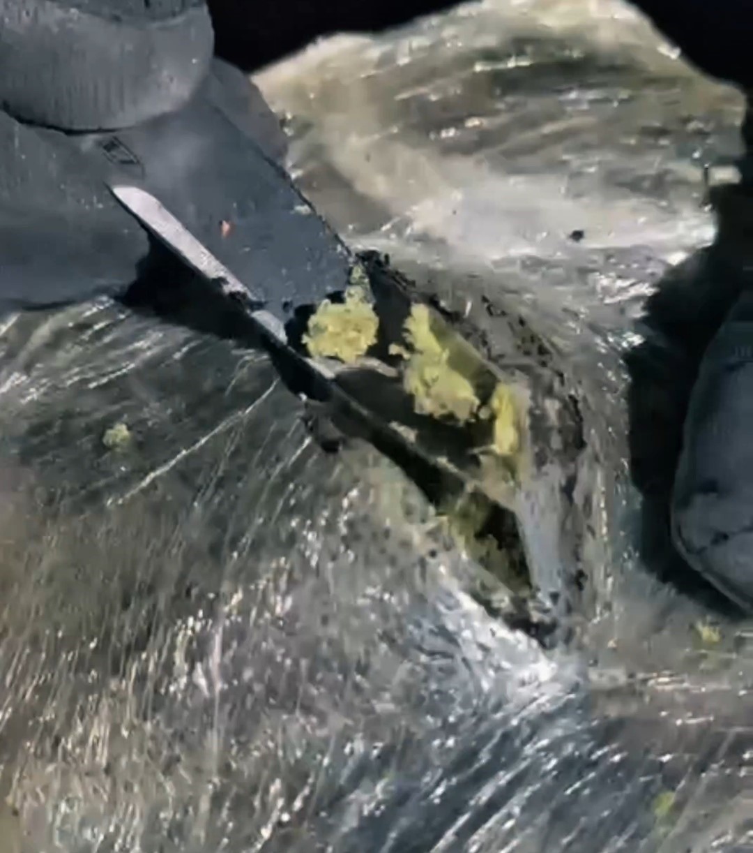 Yüksekova’da 30 kilo Skunk ele geçirildi: 2 şüpheli gözaltında
