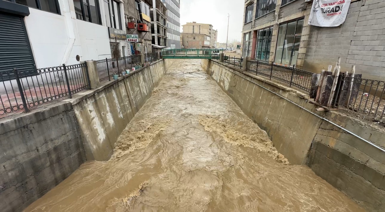 Yüksekova’da bereket taşkını: 10 yıl sonra gelen görsel şölen

