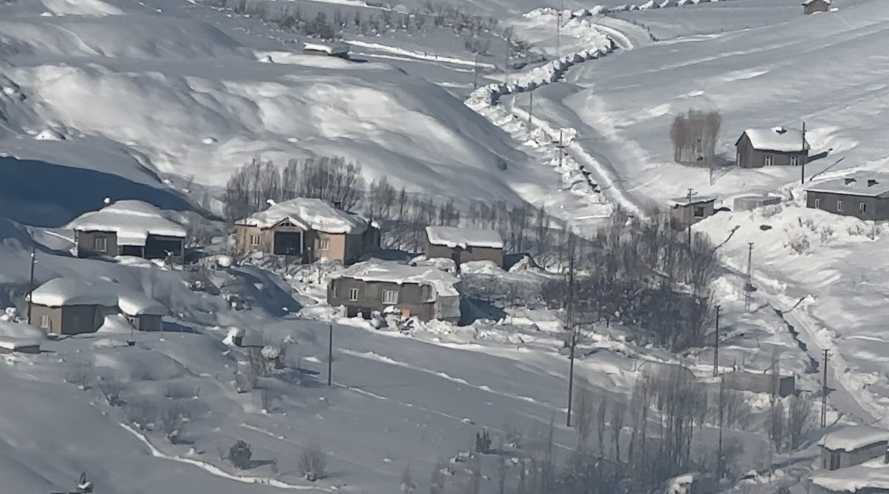 Yüksekova’da çiftçilere "kurt saldırısı" uyarısı
