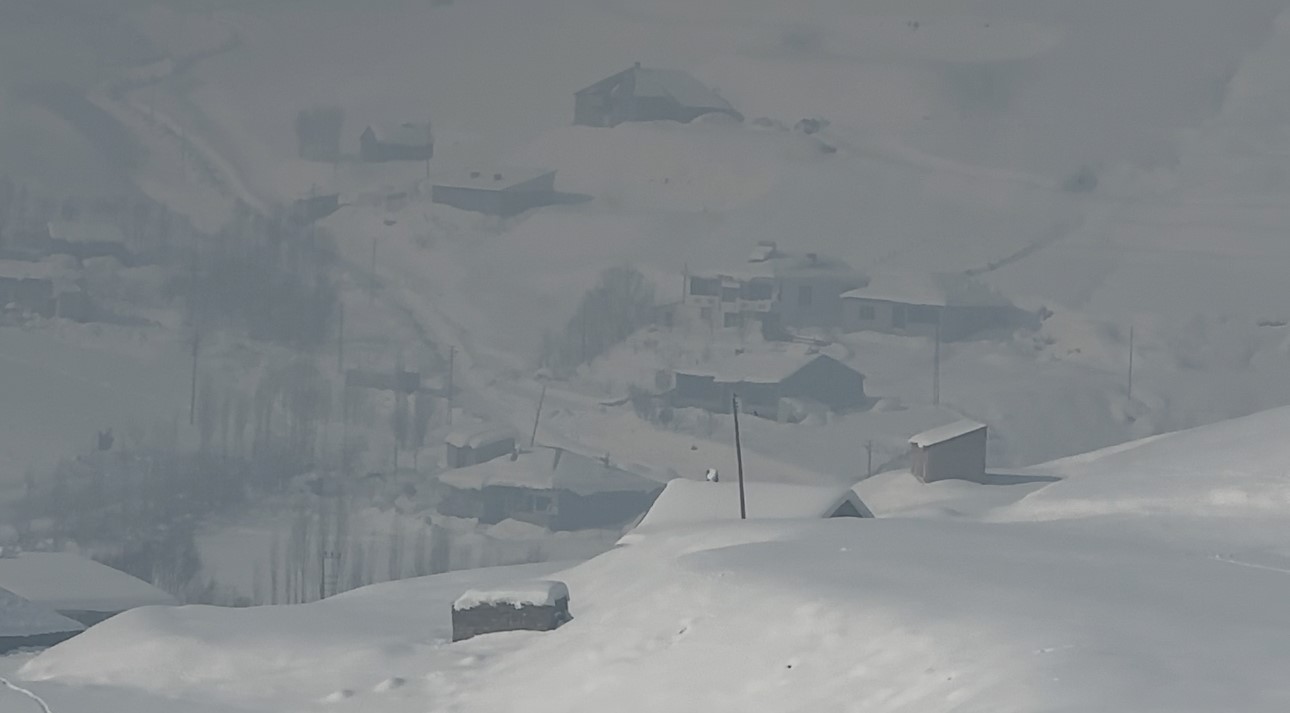 Yüksekova’da çiftçilere "kurt saldırısı" uyarısı
