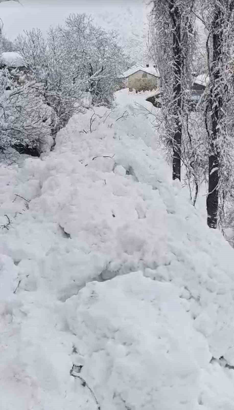 Yüksekova’da çığ yerleşim yerine indi: Facianın eşiğinden dönüldü
