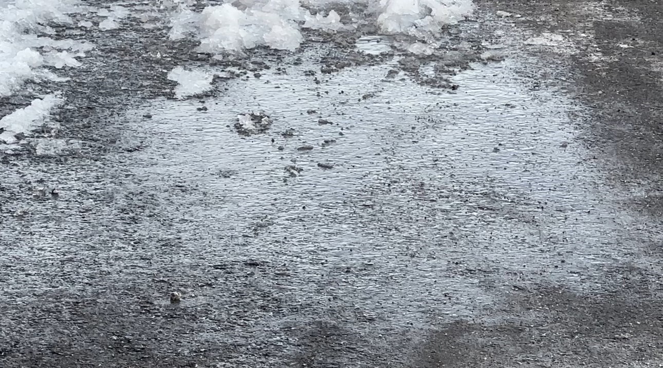 Yüksekova’da dondurucu soğuklar: Araçlar ve çatılar buz tuttu
