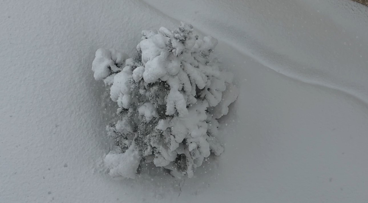 Yüksekova’da kar esareti
