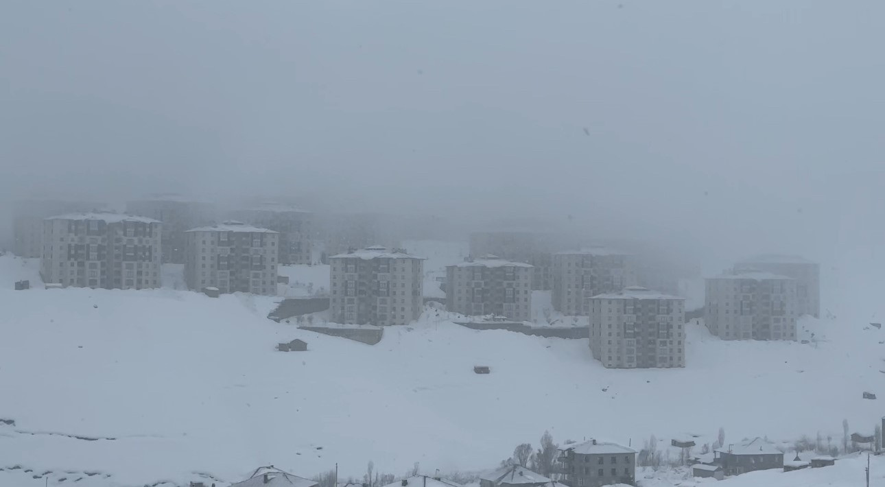 Yüksekova’da kar yağışı etkili oldu
