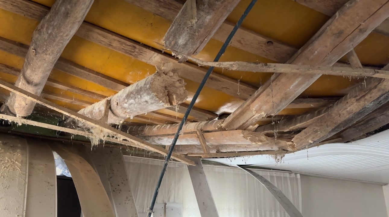 Yüksekova’da karın ağırlığına dayanamayan evin tavanı çöktü
Yüksekova’da karın ağırlığına dayanamayan evin tavanı çöktü