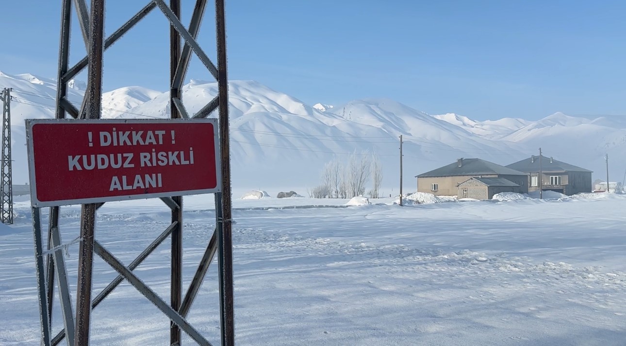 Yüksekova’da kuduz vakası
