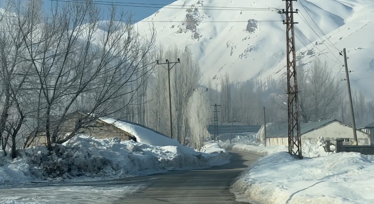 Yüksekova’da kuduz vakası
