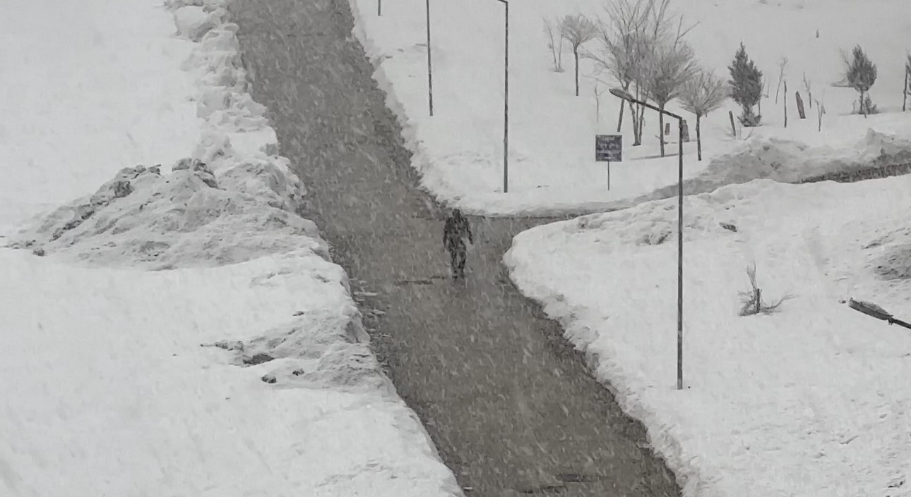 Yüksekova’da lapa lapa kar yağışı başladı
