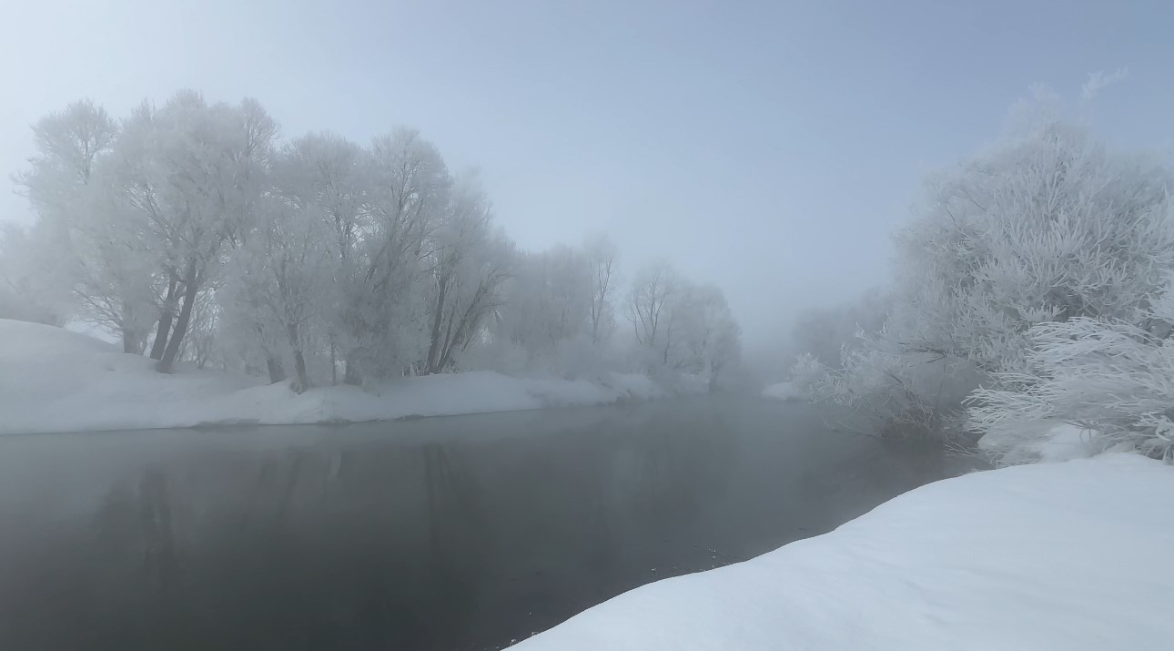 Yüksekova’da sisle birleşen kırağı ağaçları sanat eserine dönüştürdü
Yüksekova’da sisle birleşen kırağı ağaçları sanat eserine dönüştürdü