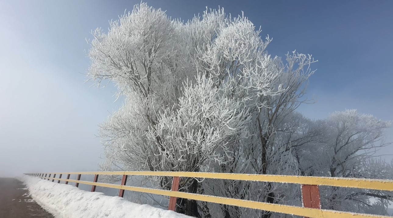 Yüksekova’da sisle birleşen kırağı ağaçları sanat eserine dönüştürdü
Yüksekova’da sisle birleşen kırağı ağaçları sanat eserine dönüştürdü