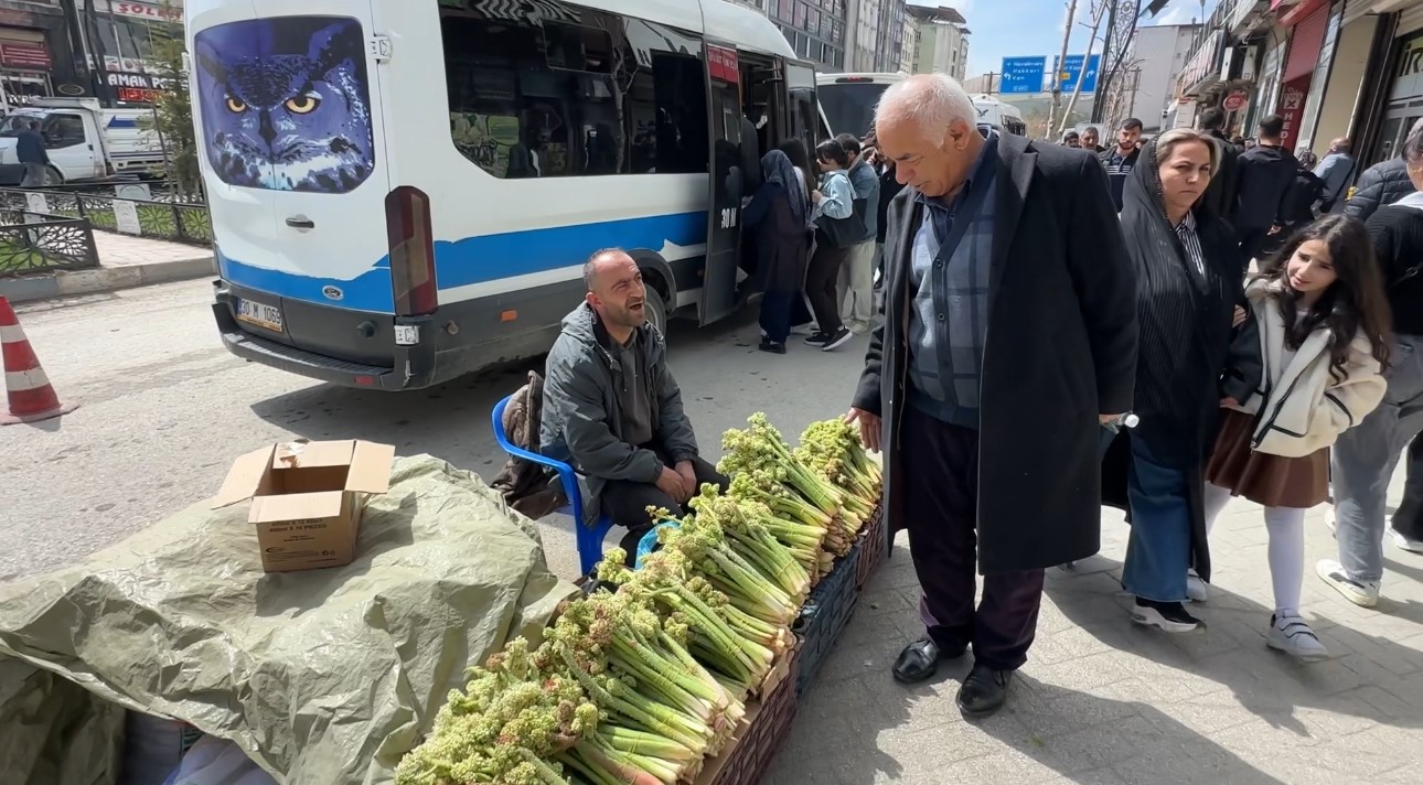 Yüksekova’da ‘yayla muzu’ mesaisi başladı
