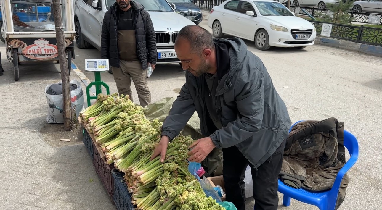 Yüksekova’da ‘yayla muzu’ mesaisi başladı
