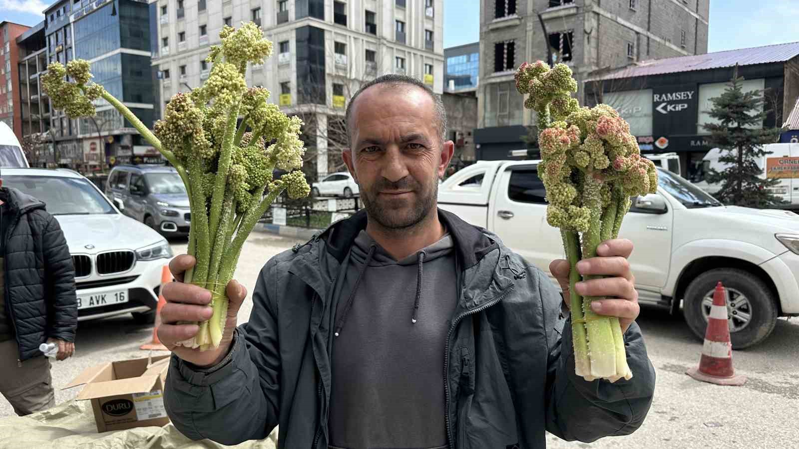 Yüksekova’da ‘yayla muzu’ mesaisi başladı

