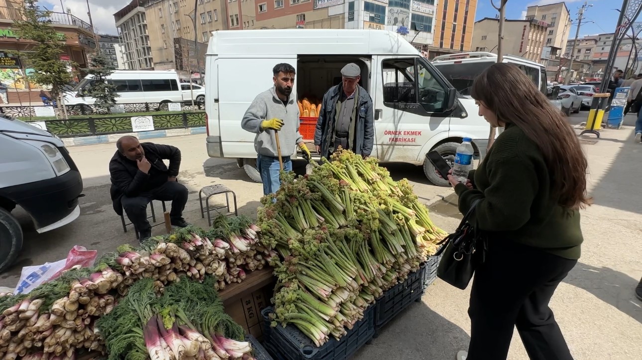 Yüksekova’da ‘yayla muzu’ mesaisi başladı
