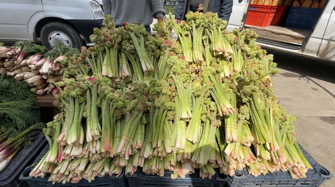 Yüksekova’da ‘yayla muzu’ mesaisi başladı
