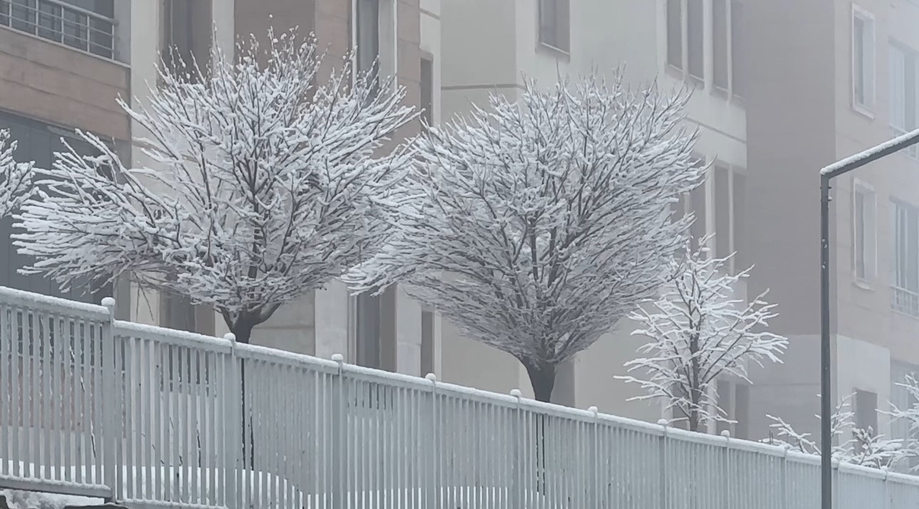 Yüksekova’da yoğun sis seyirlik görüntüler oluşturdu
