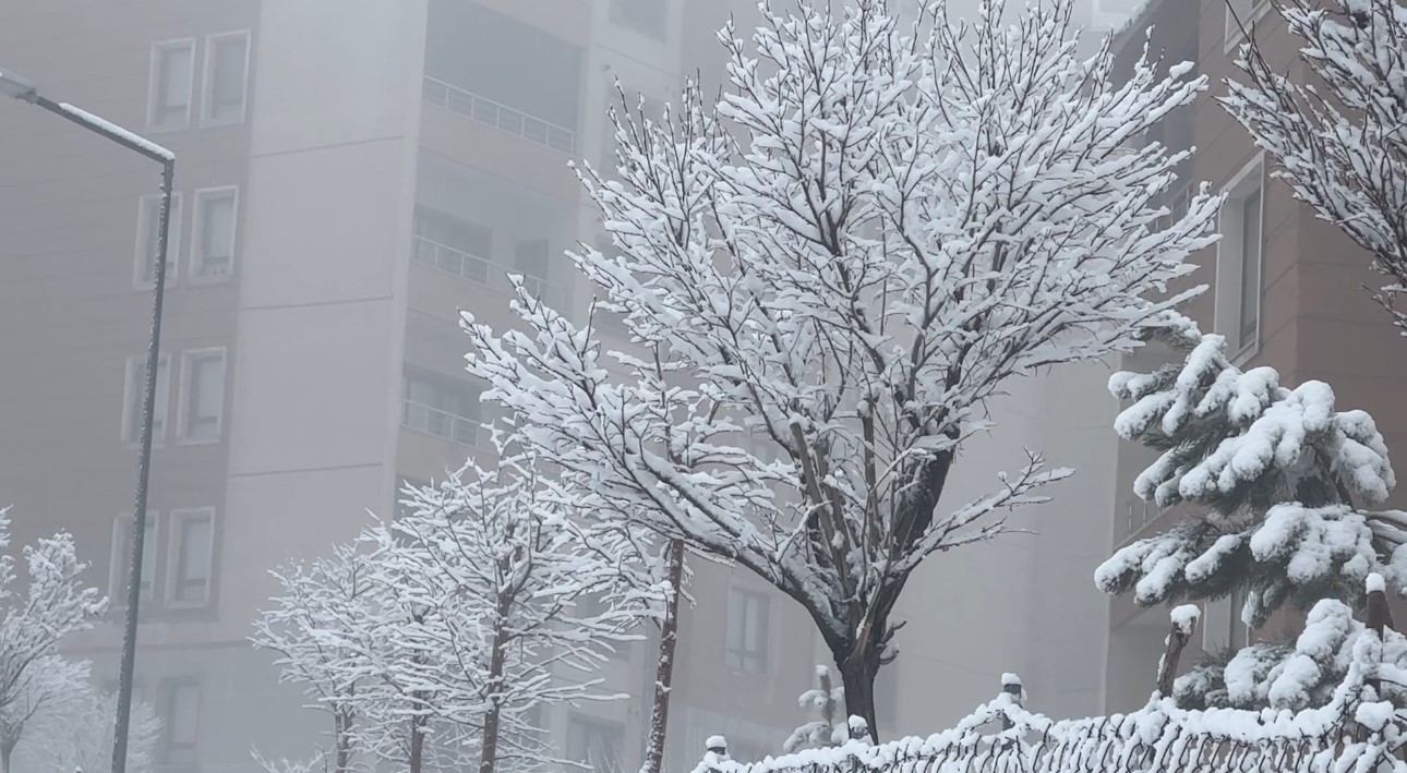 Yüksekova’da yoğun sis seyirlik görüntüler oluşturdu
