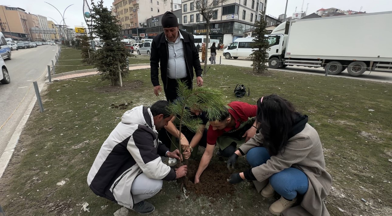 Yüksekovalı girişimci kadın çevreye dikkat çekmek için fidan dikti
